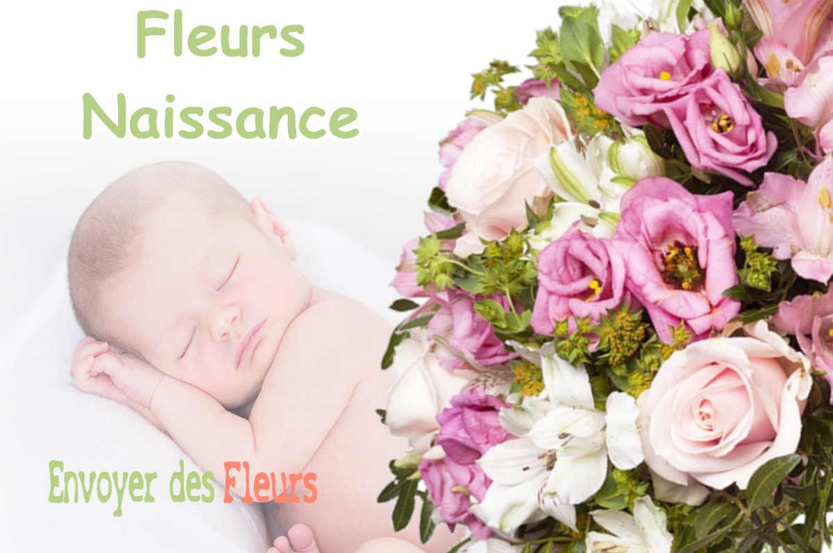 lIVRAISON FLEURS NAISSANCE à DOMARIN